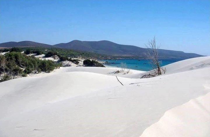 acqua del mare - Foto di Bravo Porto Pino, Sardegna - Tripadvisor